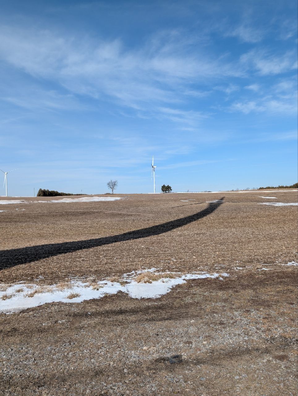 Wind turbine blades up close